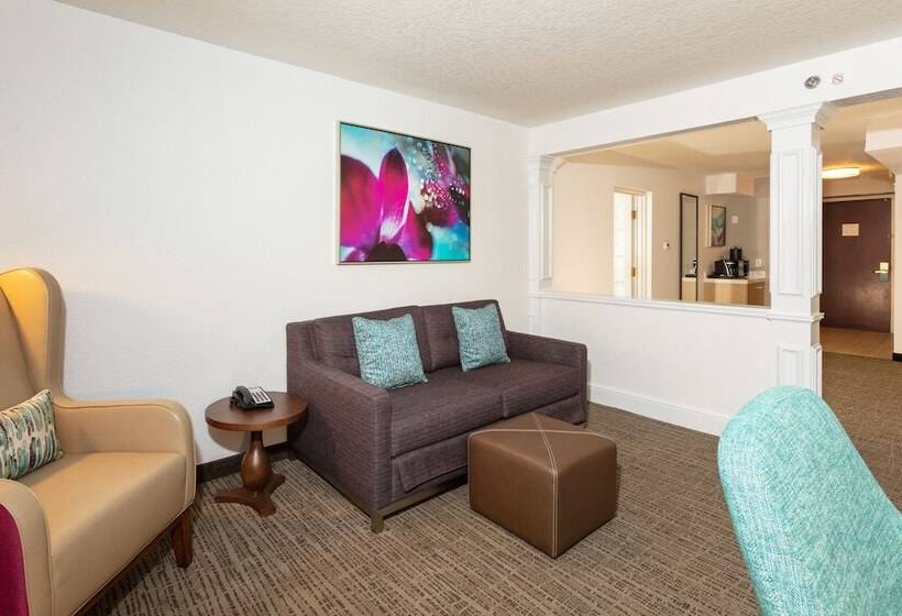 סוויטה עם ג'קוזי, Hilton Garden Inn Daytona Beach Airport