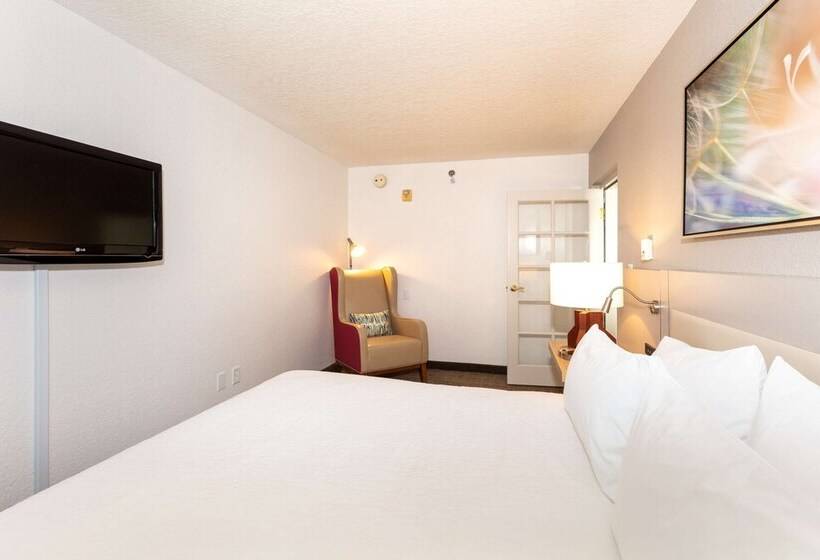 סוויטה עם ג'קוזי, Hilton Garden Inn Daytona Beach Airport