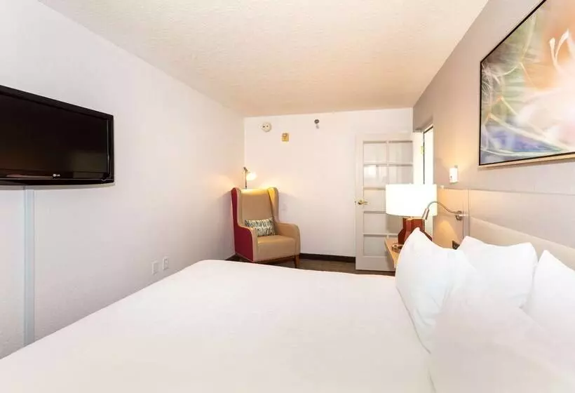 Sviitti Poreallas, Hilton Garden Inn Daytona Beach Airport