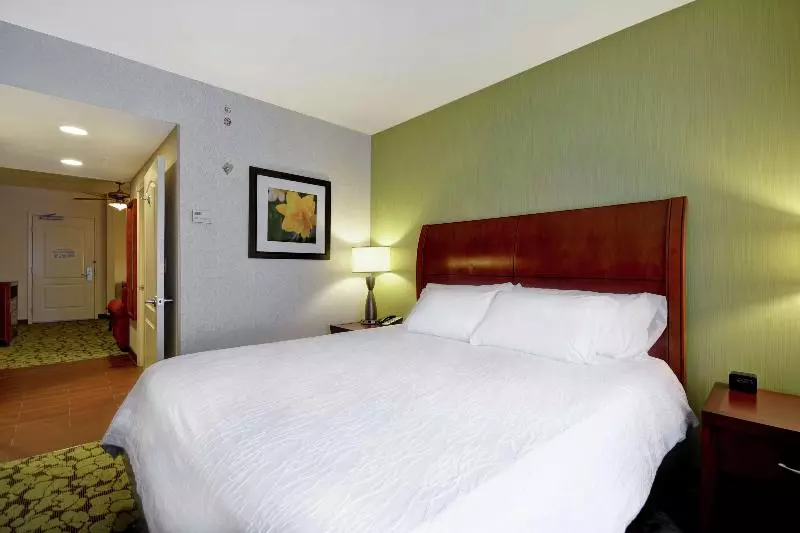 سوئیت جونیور با تخت بزرگ, Hilton Garden Inn Fort Collins