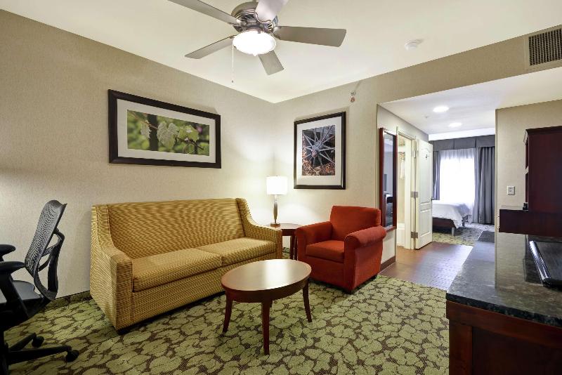 جناح جونيور سرير كينج, Hilton Garden Inn Fort Collins