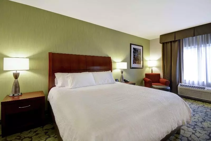 اتاق استاندارد با تخت بزرگ, Hilton Garden Inn Fort Collins