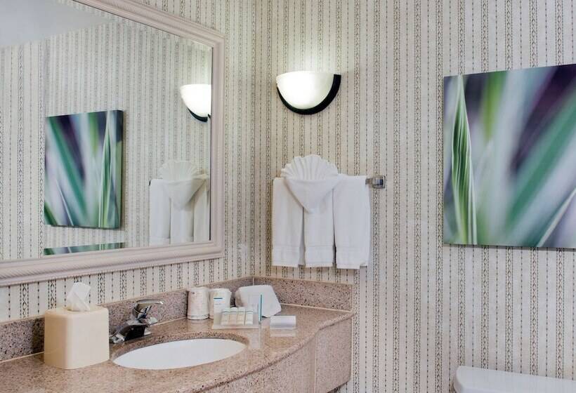 スタンダードルーム, Hilton Garden Inn Rock Hill