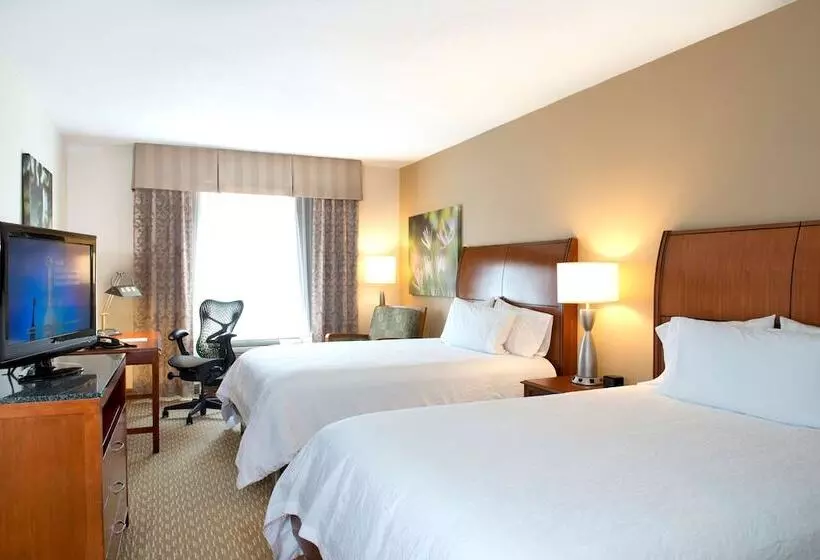 スタンダードルーム, Hilton Garden Inn Rock Hill