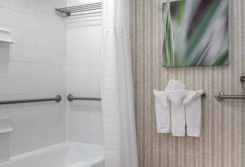 ジュニアスイート, Hilton Garden Inn Rock Hill