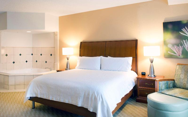 غرفة قياسية سرير كينج, Hilton Garden Inn Rock Hill