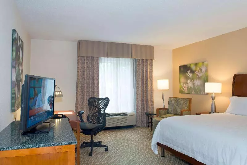 キングサイズベッドのスタンダードルーム, Hilton Garden Inn Rock Hill