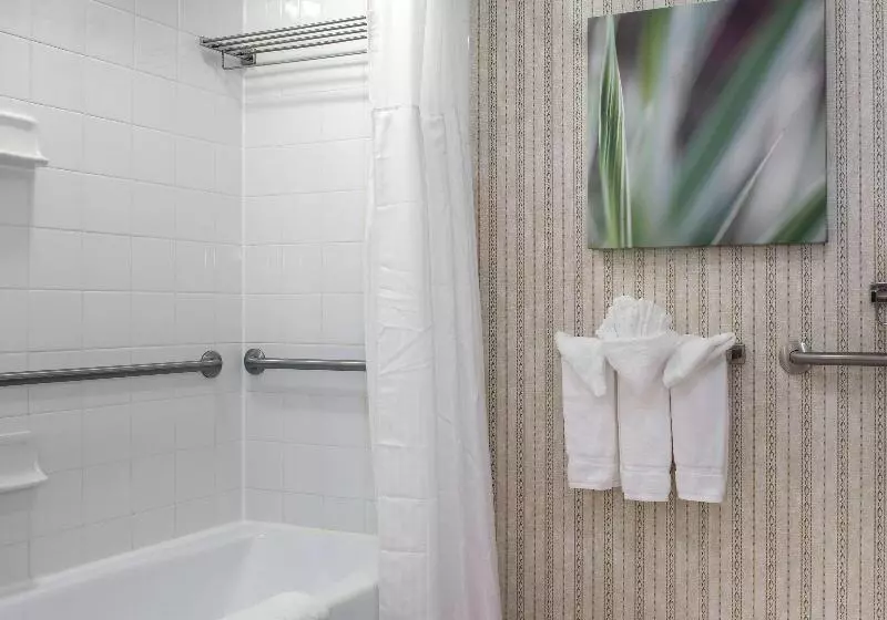 キングサイズベッドのスタンダードルーム, Hilton Garden Inn Rock Hill