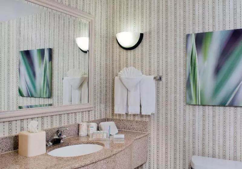 キングサイズベッドのデラックスルーム, Hilton Garden Inn Rock Hill