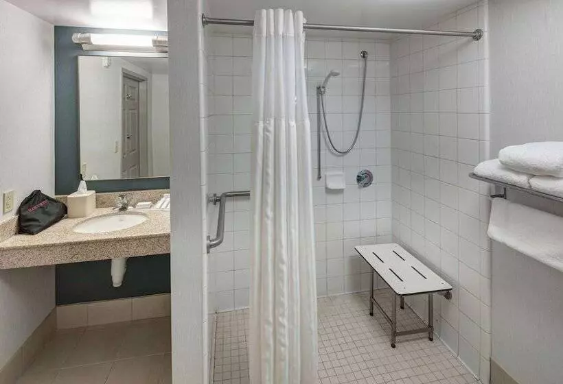 Standard-huone, Hilton Garden Inn Savannah Airport