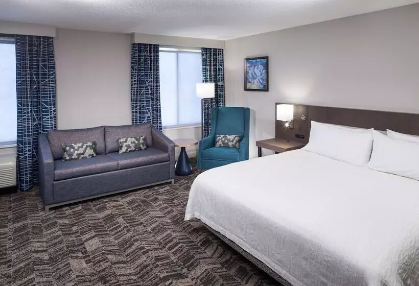 Standard-huone, Hilton Garden Inn Savannah Airport