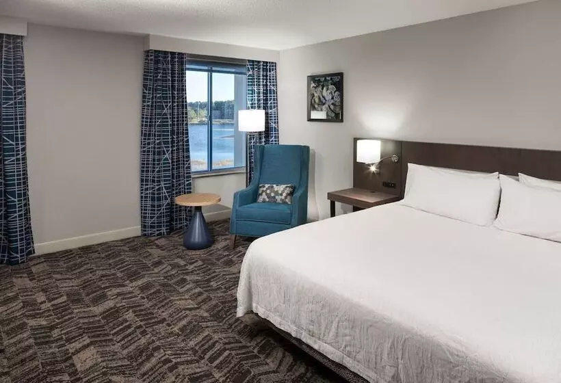 Standard-huone, Hilton Garden Inn Savannah Airport