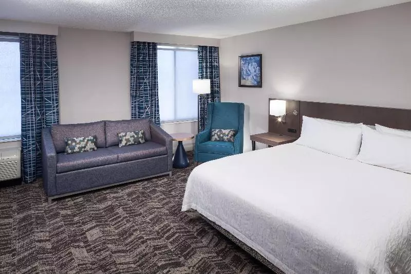 Standard-huone King-vuode, Hilton Garden Inn Savannah Airport