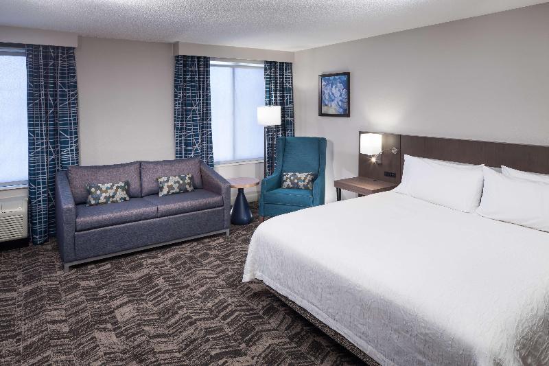 キングサイズベッドのスタンダードルーム, Hilton Garden Inn Savannah Airport
