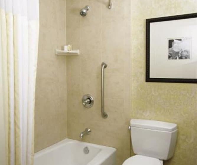 小型套房, Hilton Garden Inn Seattle North/everett