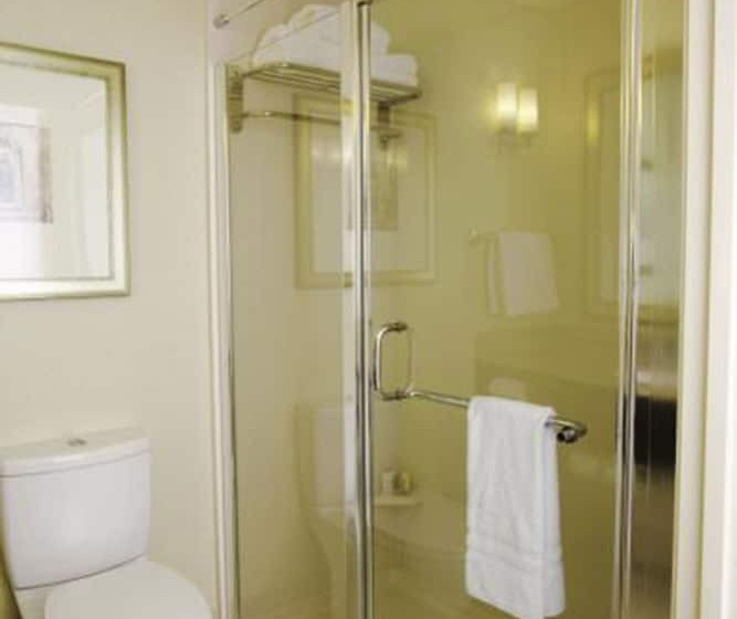 Номер Стандарт, Hilton Garden Inn Seattle North/everett