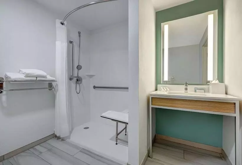 スイート, Hilton Garden Inn Tampa Northwest/oldsmar