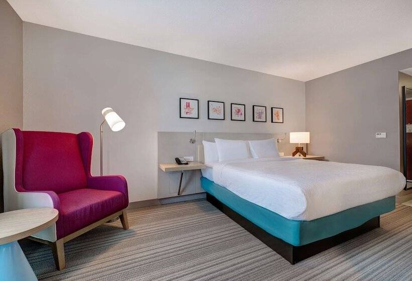 Люкс, Hilton Garden Inn Tampa Northwest/oldsmar
