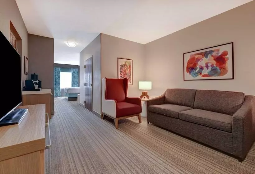 スイート, Hilton Garden Inn Tampa Northwest/oldsmar