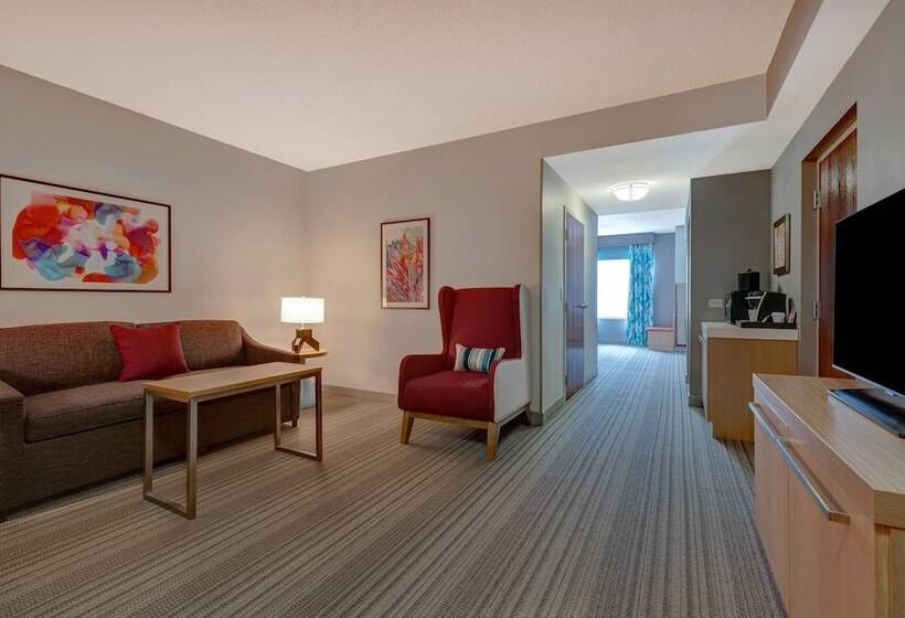 جناح, Hilton Garden Inn Tampa Northwest/oldsmar