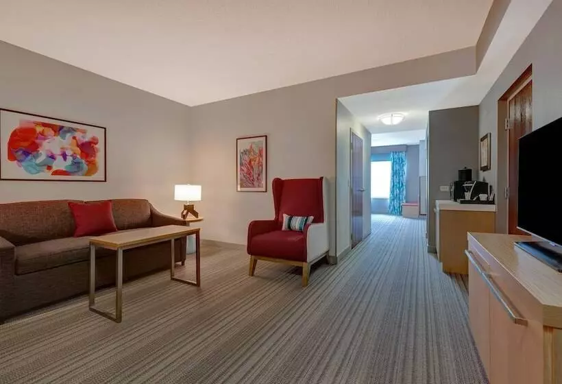 スイート, Hilton Garden Inn Tampa Northwest/oldsmar