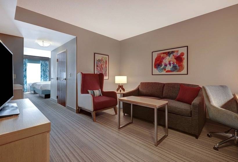 Люкс, Hilton Garden Inn Tampa Northwest/oldsmar