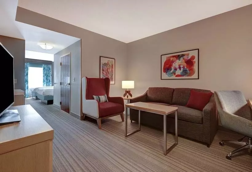 スイート, Hilton Garden Inn Tampa Northwest/oldsmar