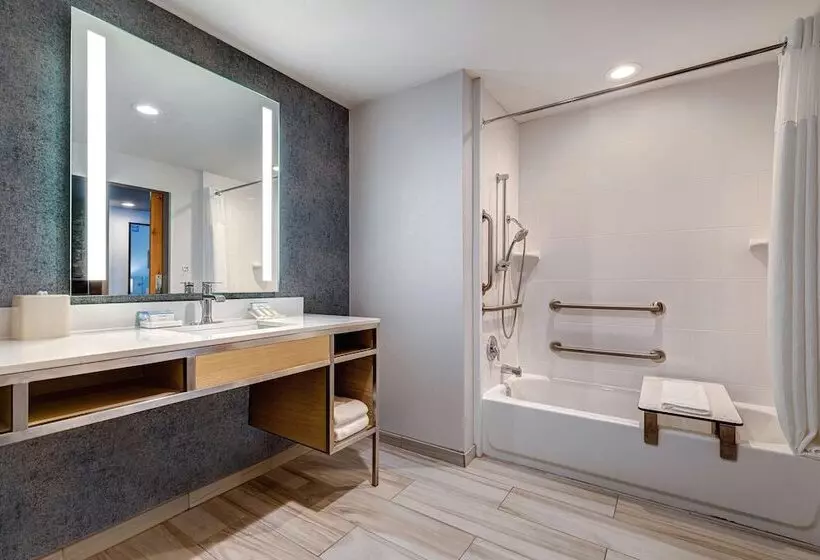 スイート, Hilton Garden Inn Tampa Northwest/oldsmar