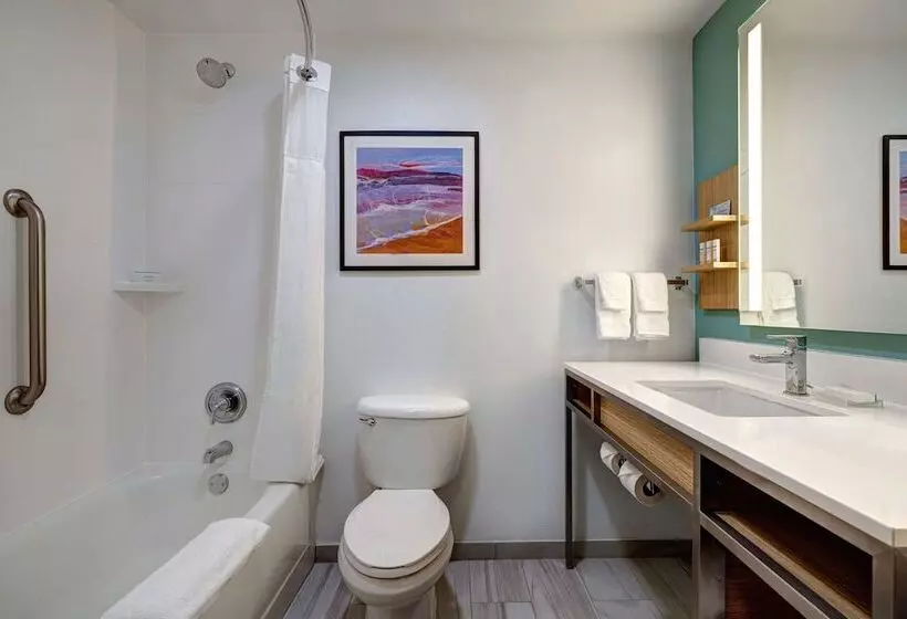 スイート, Hilton Garden Inn Tampa Northwest/oldsmar