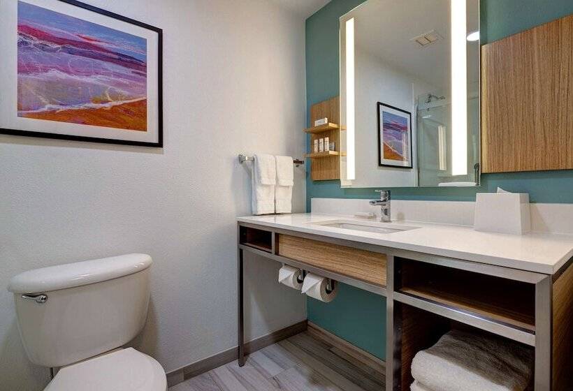 غرفة قياسية, Hilton Garden Inn Tampa Northwest/oldsmar