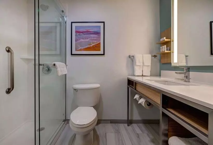 スタンダードルーム, Hilton Garden Inn Tampa Northwest/oldsmar