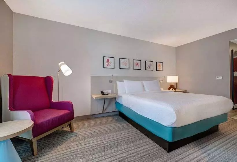 スタンダードルーム, Hilton Garden Inn Tampa Northwest/oldsmar