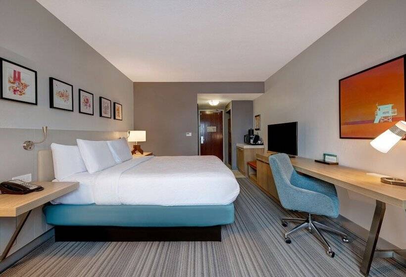 Номер Стандарт, Hilton Garden Inn Tampa Northwest/oldsmar