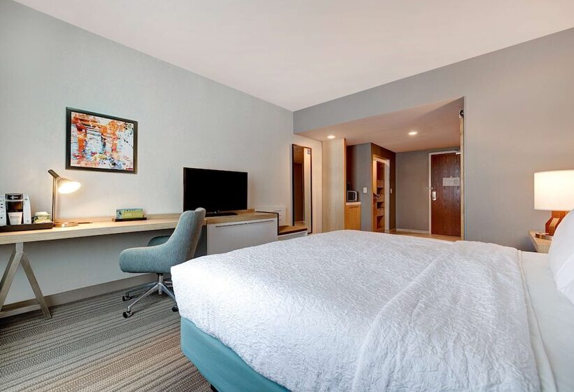 غرفة قياسية, Hilton Garden Inn Tampa Northwest/oldsmar