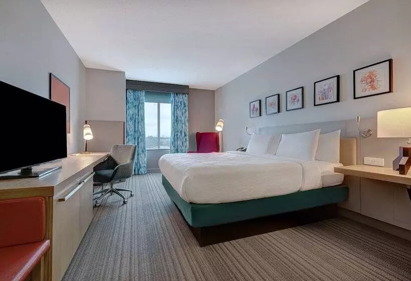スタンダードルーム, Hilton Garden Inn Tampa Northwest/oldsmar