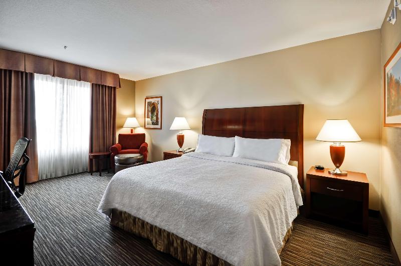 جناح سرير كينج, Hilton Garden Inn Tampa Northwest/oldsmar