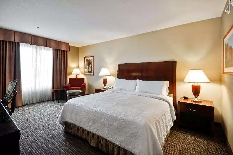 キングサイズベッドのスイートルーム, Hilton Garden Inn Tampa Northwest/oldsmar