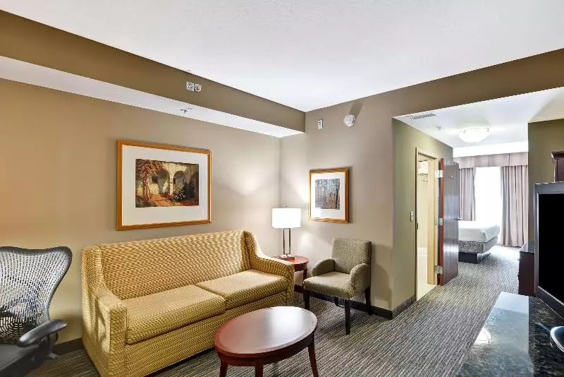 キングサイズベッドのスイートルーム, Hilton Garden Inn Tampa Northwest/oldsmar