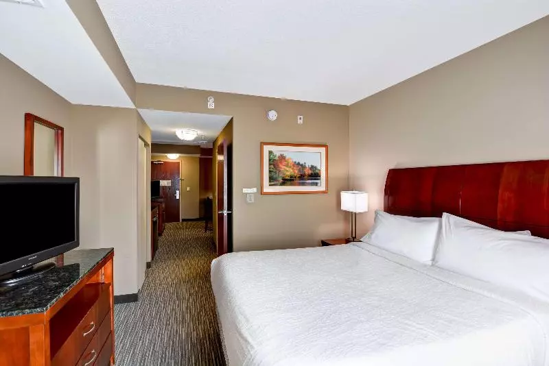 キングサイズベッドのスイートルーム, Hilton Garden Inn Tampa Northwest/oldsmar