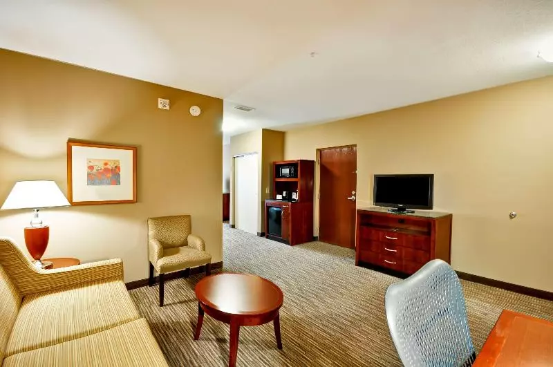 キングサイズベッドのスイートルーム, Hilton Garden Inn Tampa Northwest/oldsmar