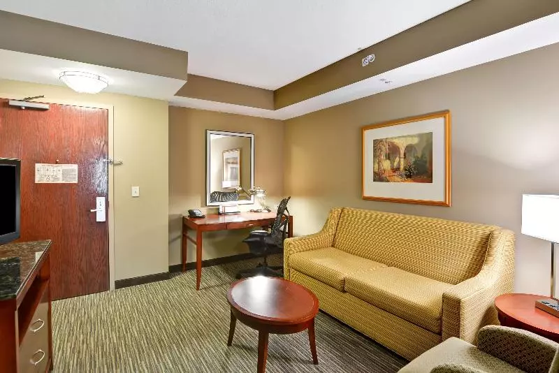 キングサイズベッドのスイートルーム, Hilton Garden Inn Tampa Northwest/oldsmar