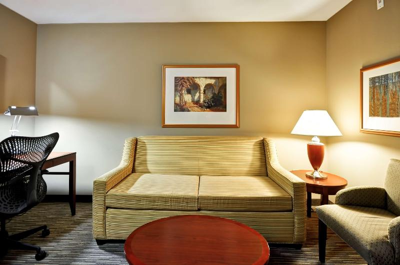 جناح سرير كينج, Hilton Garden Inn Tampa Northwest/oldsmar