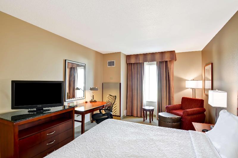 غرفة قياسية سرير كينج, Hilton Garden Inn Tampa Northwest/oldsmar