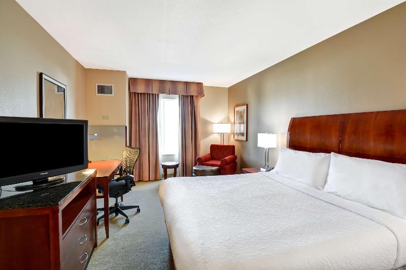 Стандартный Номер Кровать Кинг, Hilton Garden Inn Tampa Northwest/oldsmar