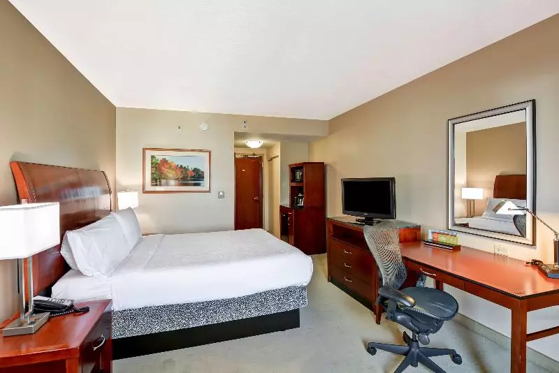 キングサイズベッドのスタンダードルーム, Hilton Garden Inn Tampa Northwest/oldsmar