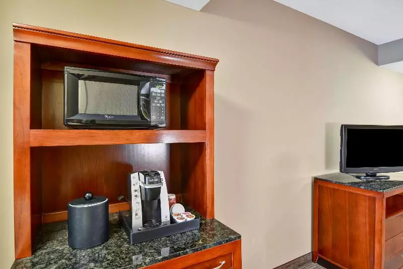 キングサイズベッドのスタンダードルーム, Hilton Garden Inn Tampa Northwest/oldsmar
