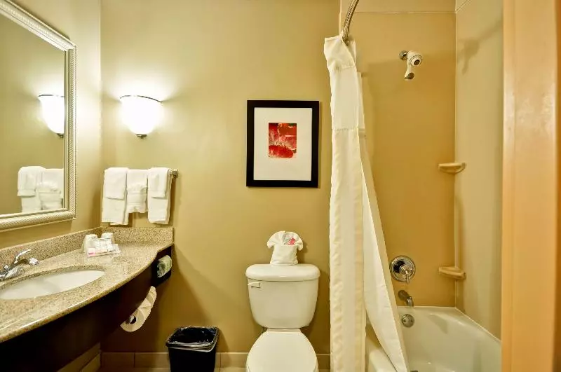 キングサイズベッドのスタンダードルーム, Hilton Garden Inn Tampa Northwest/oldsmar