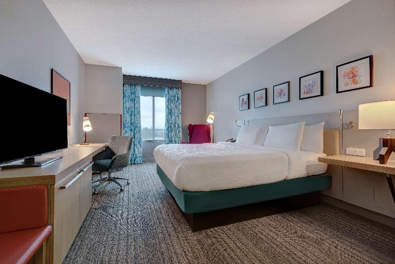 غرفة قياسية سرير كينج, Hilton Garden Inn Tampa Northwest/oldsmar