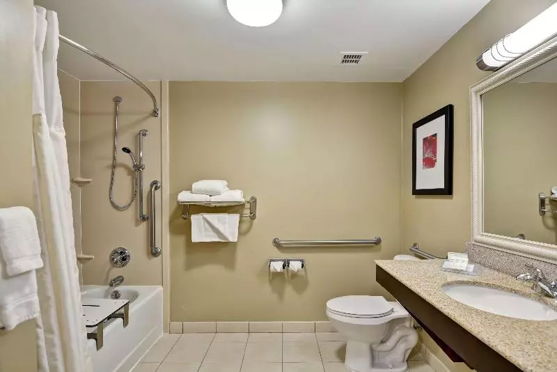 キングサイズベッドのスタンダードルーム, Hilton Garden Inn Tampa Northwest/oldsmar