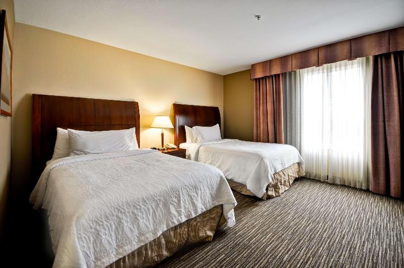 جناح, Hilton Garden Inn Tampa Northwest/oldsmar